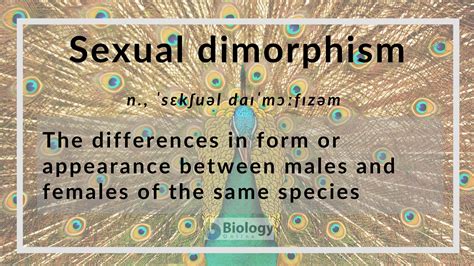 Unlocking the Mysteries of Sexual Dimorphism: A Comprehensive Definition and Its Evolutionary Significance