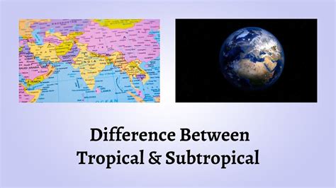 Understanding the Characteristics of Subtropical Climates