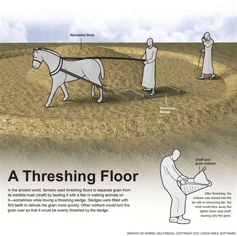 Uncovering the Mystique of Threshing Floors: A Definitive Guide to Understanding their Significance