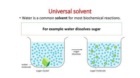 The Magical Properties of Water: Understanding the Definition of Universal Solvent