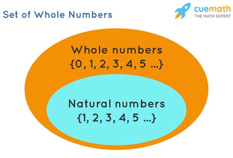 Get to Know Whole Numbers: A Clear Definition in 10 Words