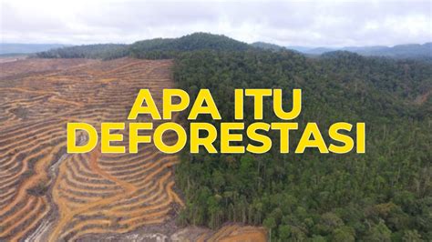 Deforestasi dan Dampaknya