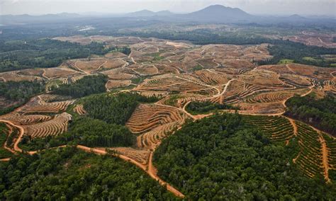 Deforestasi di Malaysia