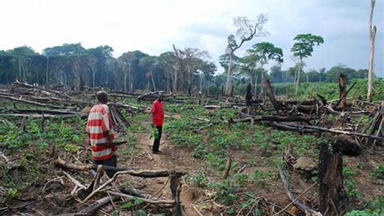 Deforestation, Farming Practices