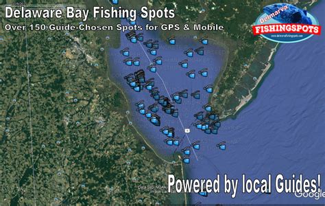 Delaware Bay Fishing Weather Conditions