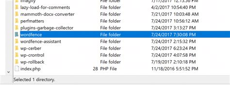Delete Plugin Via FTP