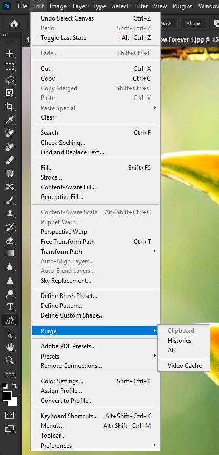 Delete The Photoshop Cache Files