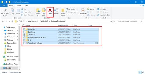 Delete the Software Distribution Files
