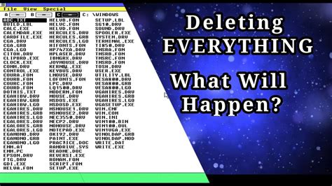 Deleting everything