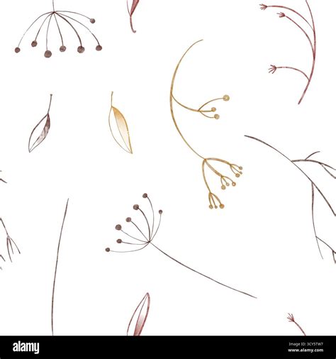 Delicate