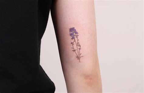 tattoo flower color leg small delphinium family 
