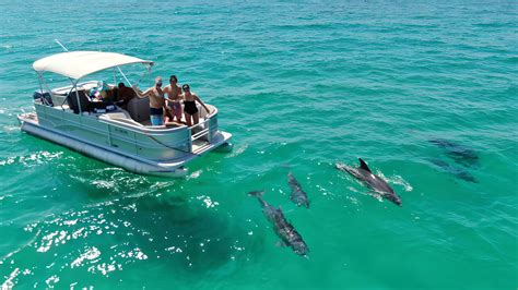 Delray Beach Dolphin Watching Tour