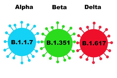 Delta Variant: What You Need to Know.
