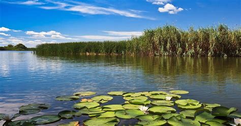 Delta del Danubio desde Bucarest