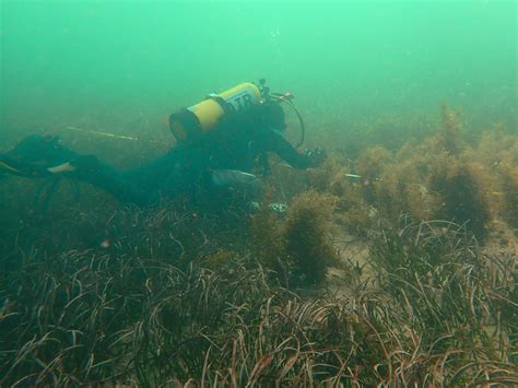 Delving into Team Records