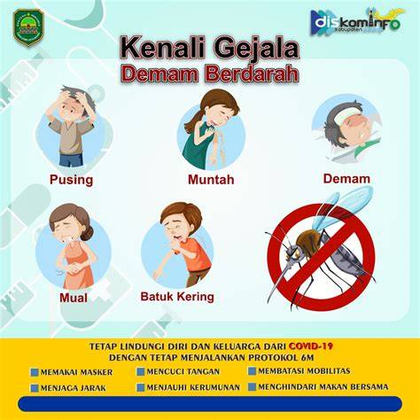 Demam Berdarah