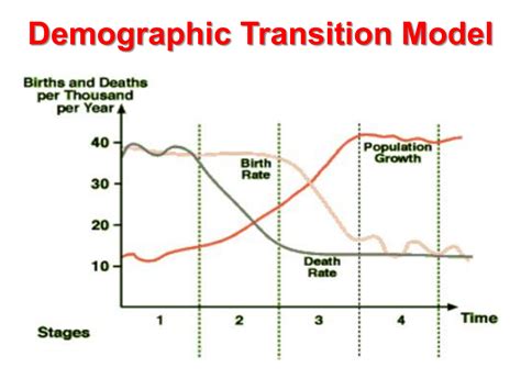 Demographic Transition Model Worksheet