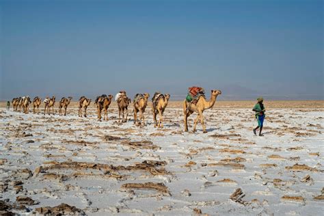 Denakil Depression Tour Cost