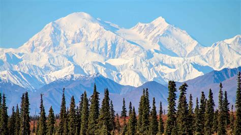 Denali Hiking Tour