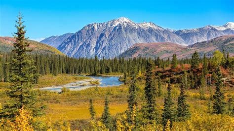 Denali Park Alaska