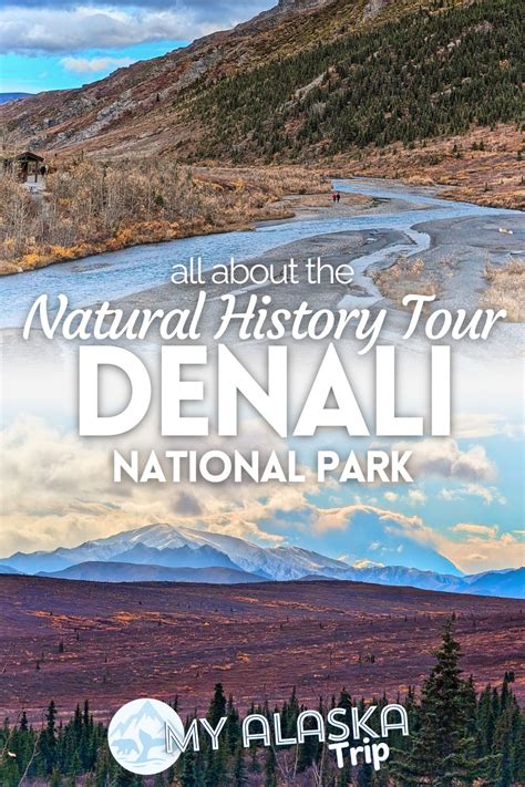 Denali Tour Booking