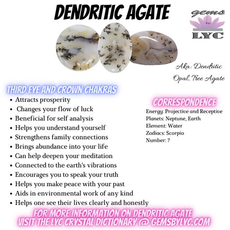 Unlocked: Discover the Wondrous Dendritic Agate Metaphysical Properties and Elevate Your Spiritual Journey!