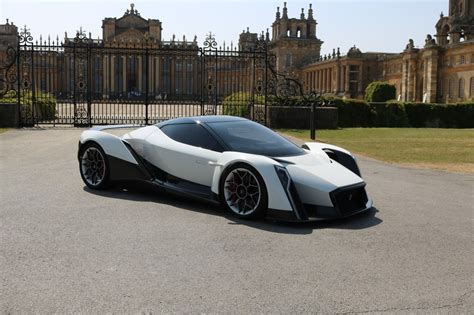 Dendrobium D 1 Price