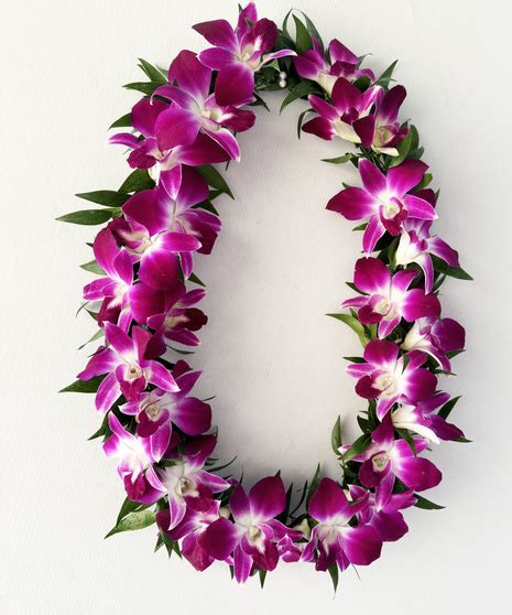 Dendrobium Lei