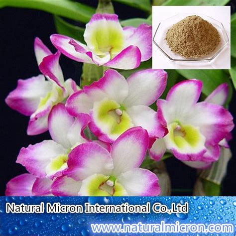 Dendrobium Nobile Supplement