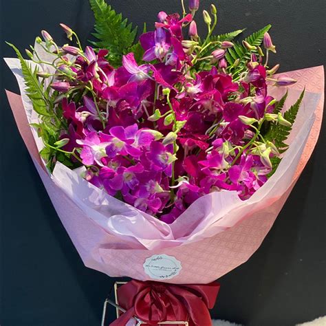 Dendrobium Orchid Ms