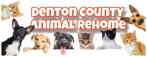 Denton County Animal Services: Providing Compassionate Care for Your Furry Friends