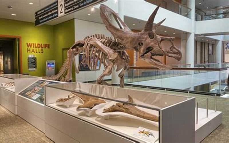 Denver Museum Of Nature And Science Promo Code