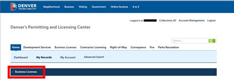 Denver Business Licenses Example