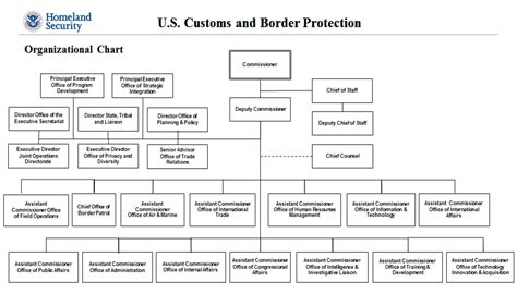 Department Of Homeland Security Chart