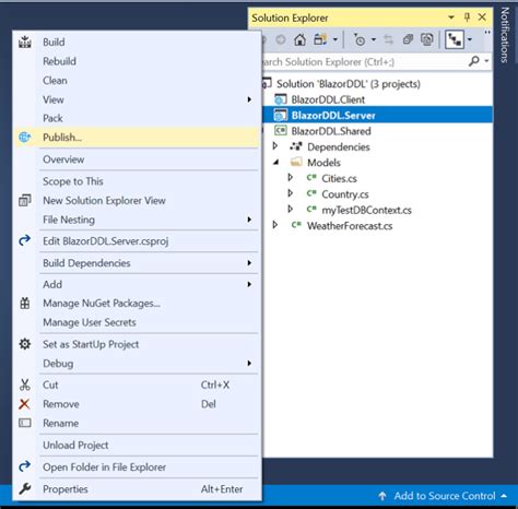 Step-by-Step Guide to Deploy Blazor Server Applications on IIS for Maximum Web Performance