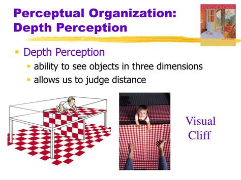 Unlocking the Mysteries of Perception: A Comprehensive Guide to Depth Perception in Psychology