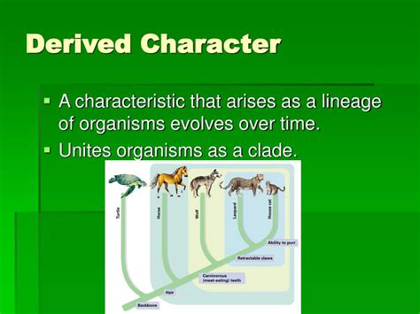Exploring the Marvels of Evolution: Uncovering the Definition and Significance of Derived Characteristics in Biology