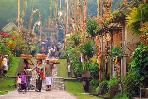 Desa Wisata Di Bali