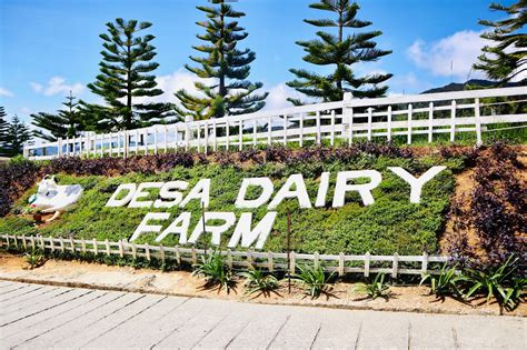 Desa Dairy Farm