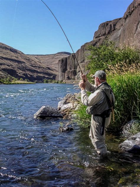 Deschutes River Dry Fly Fishing