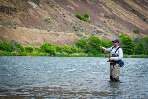 Deschutes River Streamer Fly Fishing