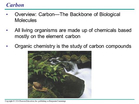 Describe The Role Of Carbon In Biological Systems