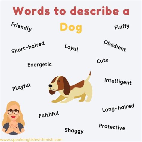 Describing the Dog