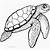 Desenhos de Tartaruga Marinha para Colorir imprimir e pintar