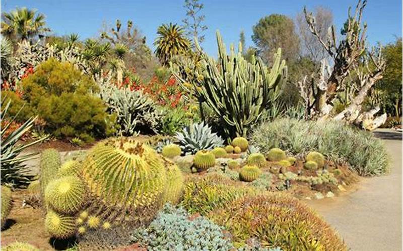 Desert Botanical Garden In Phoenix, Arizona