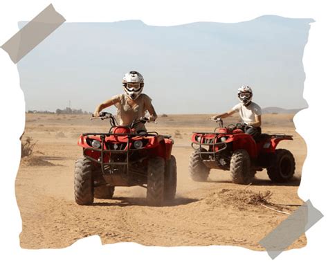 Desert Activities and Experiences
