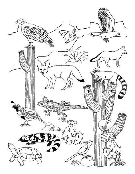 Desert Animals Coloring Pages
