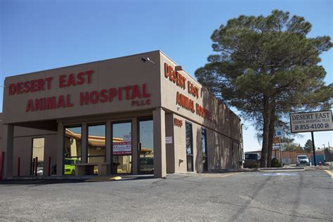 Exceptional Veterinary Care for Your Furry Friends at Desert East Animal Hospital El Paso