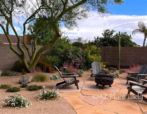 Desert Landscape Examples
