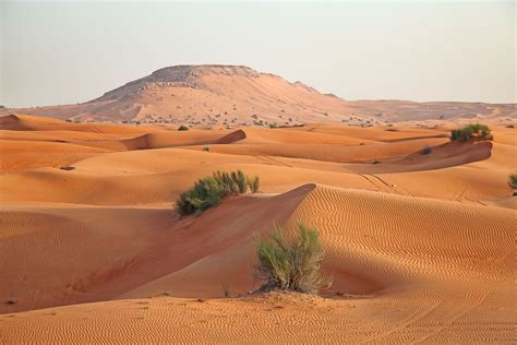 Desert Landscape Facts
